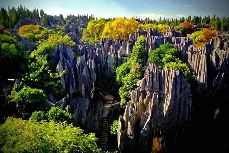  khí hậu ở Rừng đá Thạch Lâm